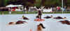gym_kleinfeld_007.jpg (183215 Byte)