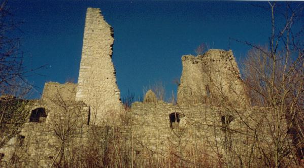 burg schenkenberg.jpg (41554 Byte)