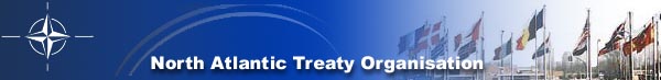 nato head logo.jpg (13670 Byte)