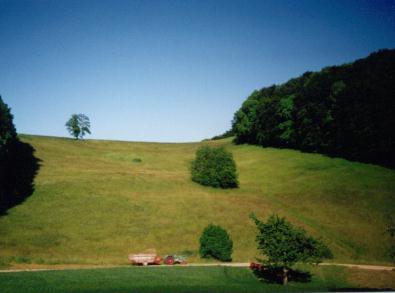 privat rossweid 97.jpg (14906 Byte)